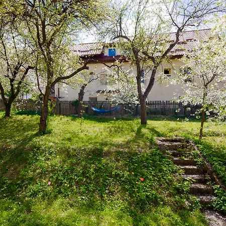 Casa Cu Cires Apartman Brassó