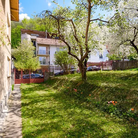 Casa Cu Cires Braşov